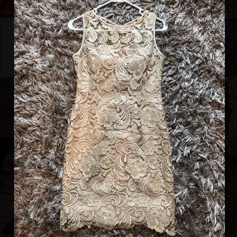 Cache size 2 lace dress